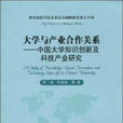 大學與產業合作關係：中國大學知識創新及科技產業研究