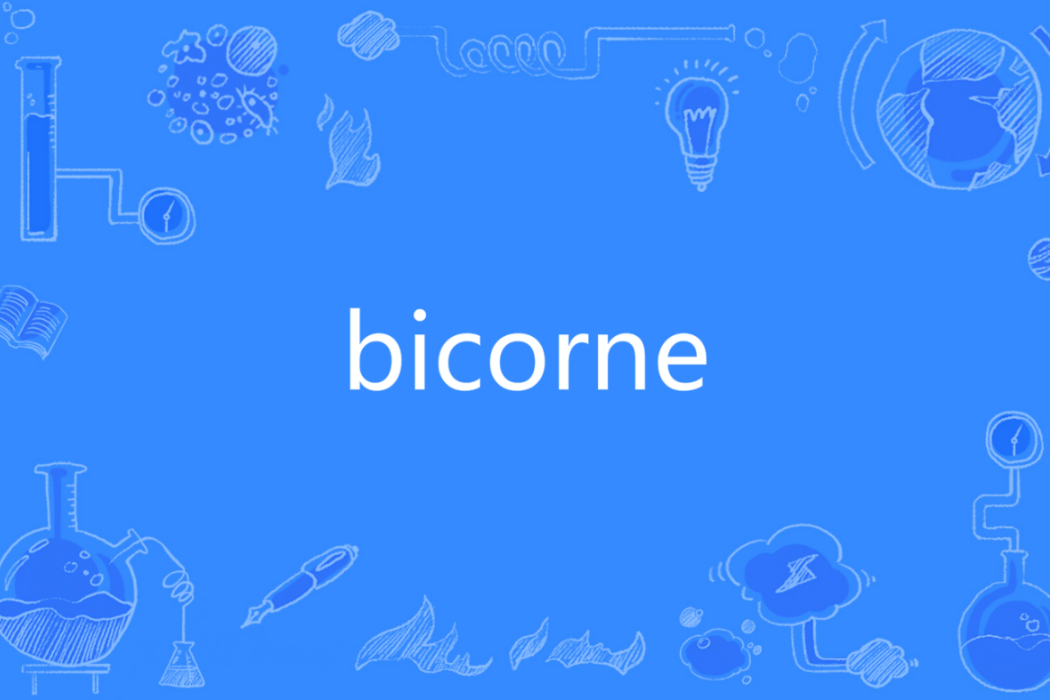 bicorne