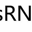 ssRNA ssRNA
