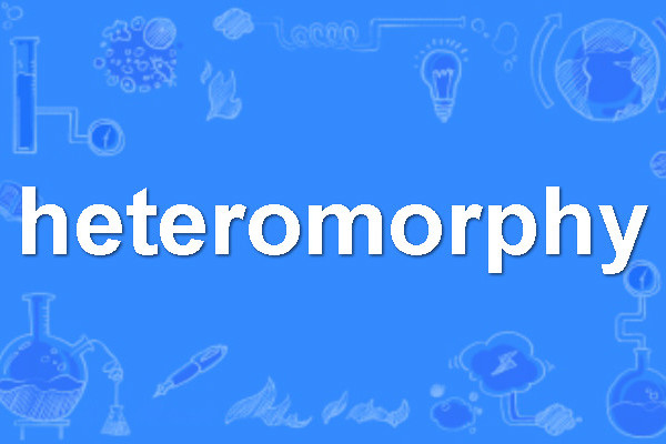 heteromorphy heteromorphy