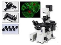 IX51研究級倒置顯微鏡