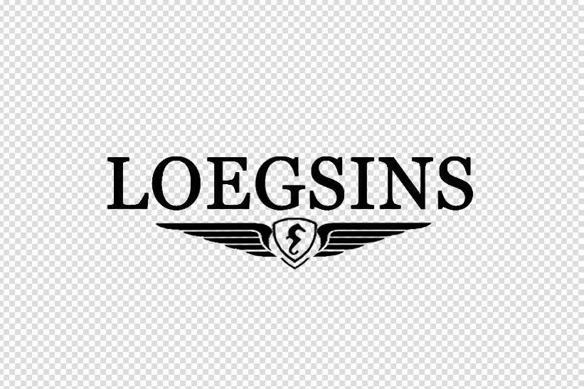 LOEGSINS