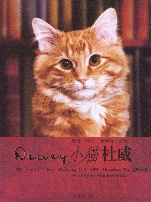 小貓杜威