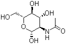 N-乙醯氨基葡萄糖