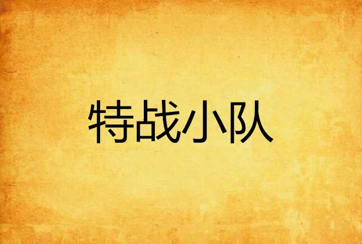 特戰小隊 特戰小隊