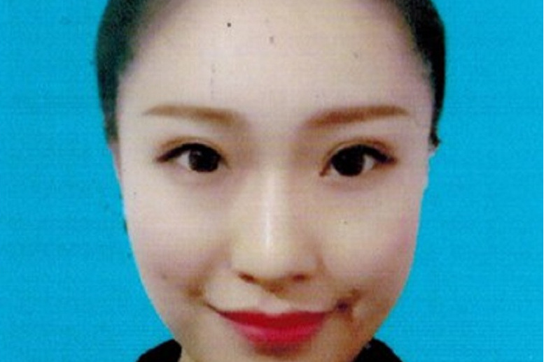 楊藝航