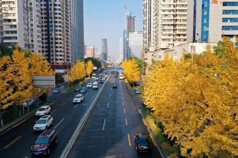 芙蓉路(江西省宜春市上高縣境內道路) 芙蓉路(江西省宜春市上高縣境內道路)