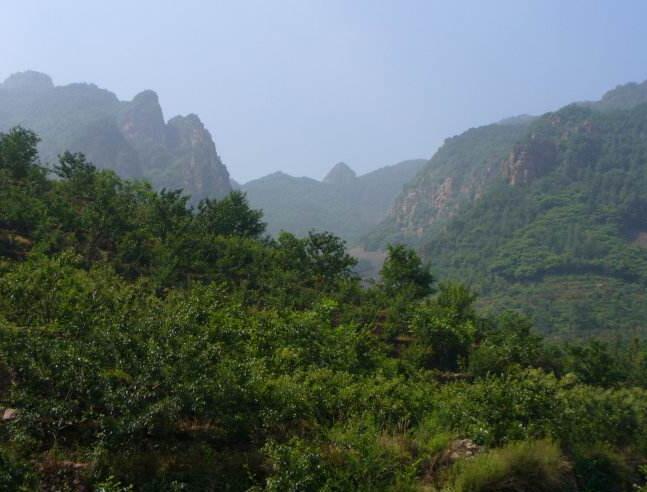 水峪山 水峪山