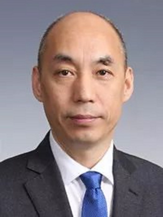 苗全勝(上海市長寧區文化市場行政執法大隊大隊長) 苗全勝(上海市長寧區文化市場行政執法大隊大隊長)