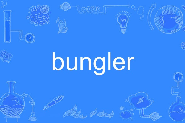 bungler bungler