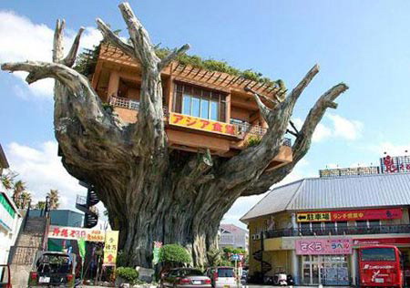 日本沖繩樹屋餐廳