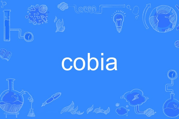 cobia cobia