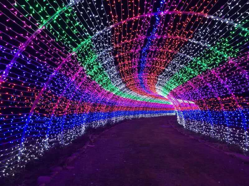 中國山東蘭陵國家農業公園夢幻燈光節