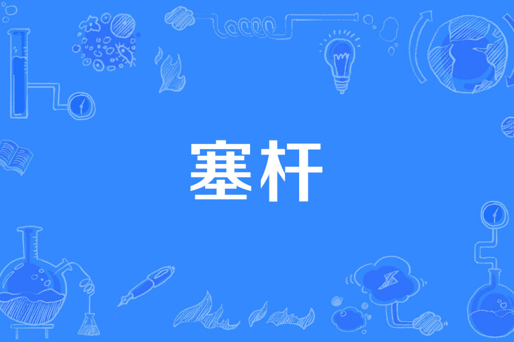 塞桿 塞桿