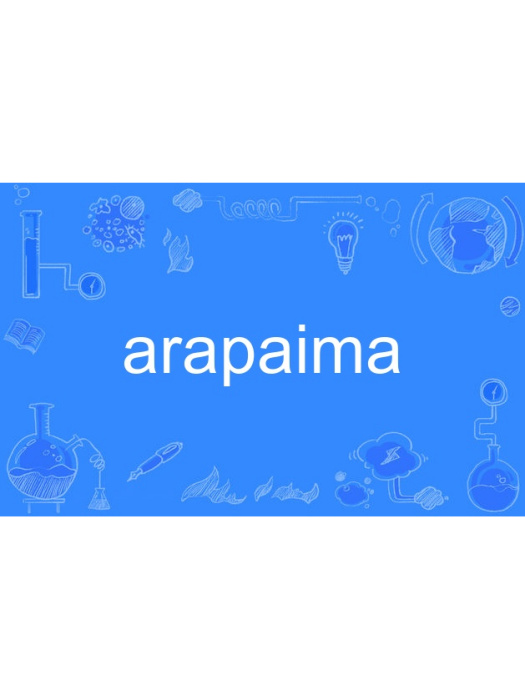 arapaima arapaima