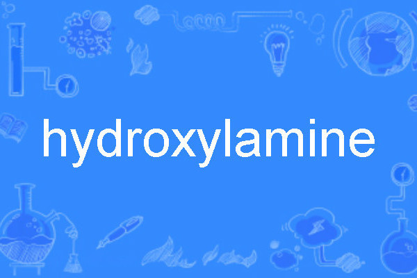 hydroxylamine hydroxylamine