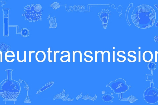 neurotransmission neurotransmission