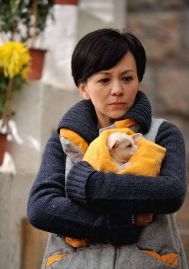 愛的秘笈(2012年李文龍導演電視劇)