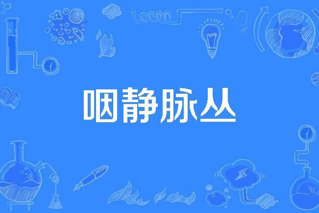 咽靜脈叢 咽靜脈叢