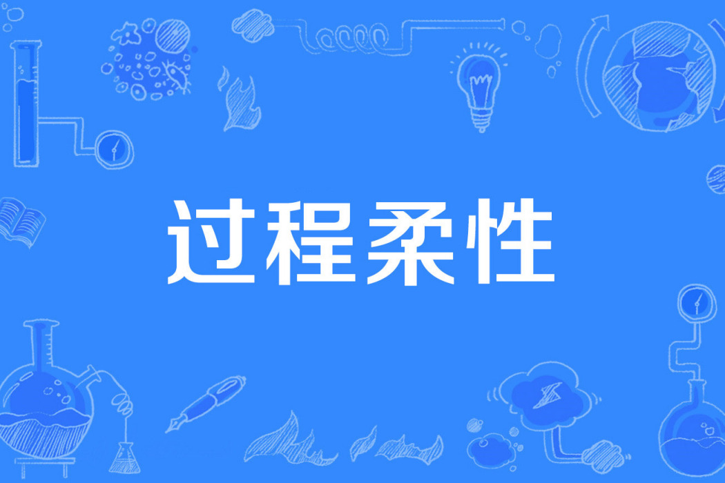 過程柔性 過程柔性