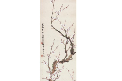 萬樹梅花 萬樹梅花