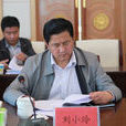 劉小玲(海北州人民檢察院檢察長)