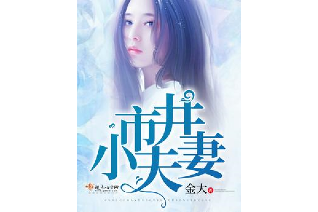 市井小夫妻 市井小夫妻