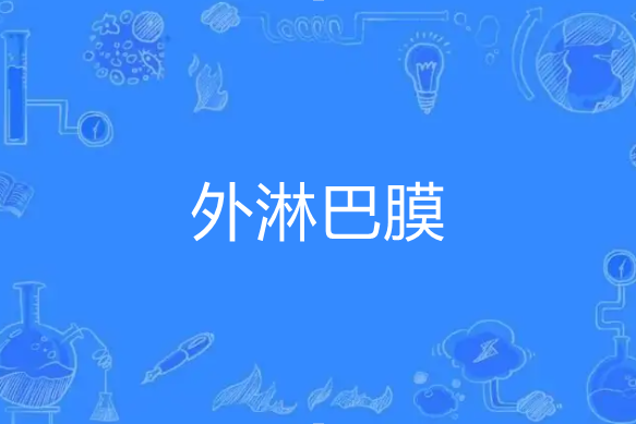 外淋巴膜 外淋巴膜
