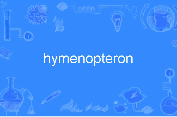 hymenopteron hymenopteron