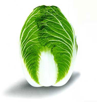 中白二號 中白二號