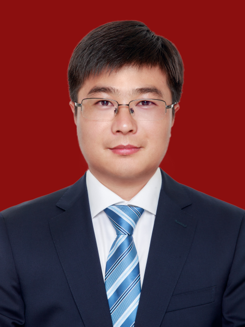 王強(湖南省株洲市蘆淞區委副書記、區人民政府黨組書記、區長)