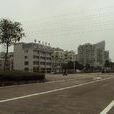 三江街道(浙江省嵊州市三江街道) 三江街道(浙江省嵊州市三江街道)