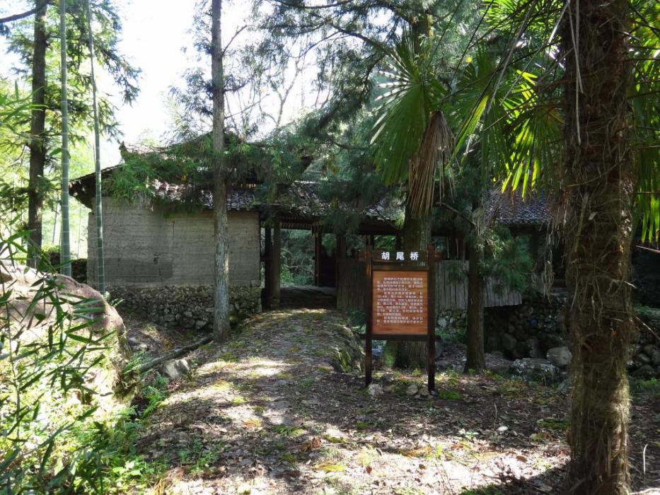 棕樹塆村 棕樹塆村