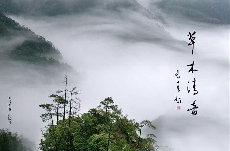 草木清音 草木清音