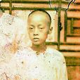 任鴻年 任鴻年