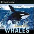 Whales(2006年Harpercollins Childrens Books出版的圖書) Whales(2006年Harpercollins Childrens Books出版的圖書)