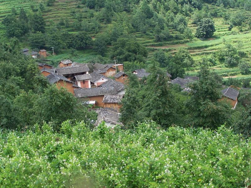 雅沯村 雅沯村