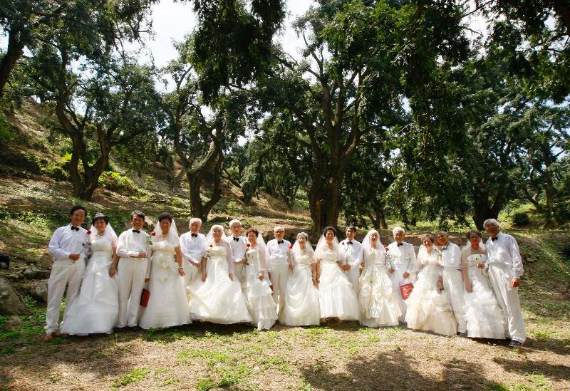 諸暨香榧公園集體婚禮