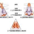 鼻子整形