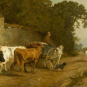Charles Collins