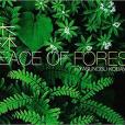森 PEACE OF FOREST 森 PEACE OF FOREST