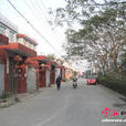 上橋村(重慶市沙坪壩區覃家崗鎮下轄村) 上橋村(重慶市沙坪壩區覃家崗鎮下轄村)