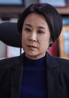 急診科醫生(2017年鄭曉龍、劉雪松執導電視劇)