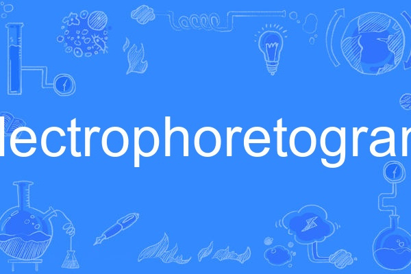 electrophoretogram electrophoretogram