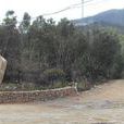 勝利村(山東省東營市墾利縣勝坨鎮勝利村) 勝利村(山東省東營市墾利縣勝坨鎮勝利村)