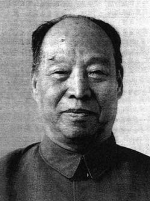 彭真(第六屆全國人大常委會委員長) 彭真(第六屆全國人大常委會委員長)