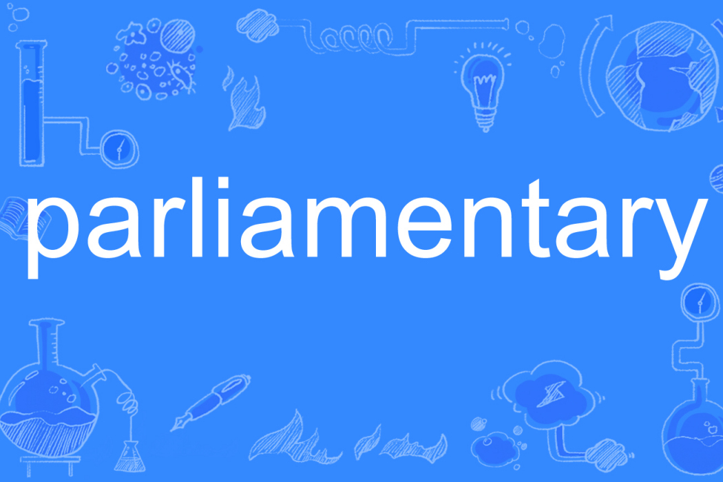 parliamentary parliamentary