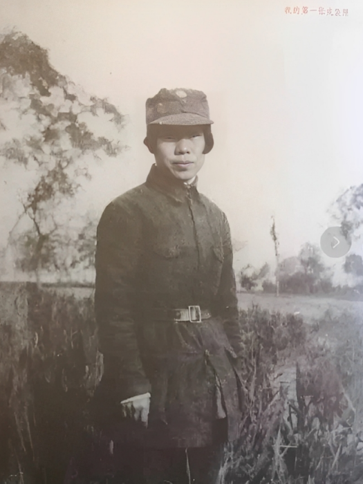 馬齡松 馬齡松