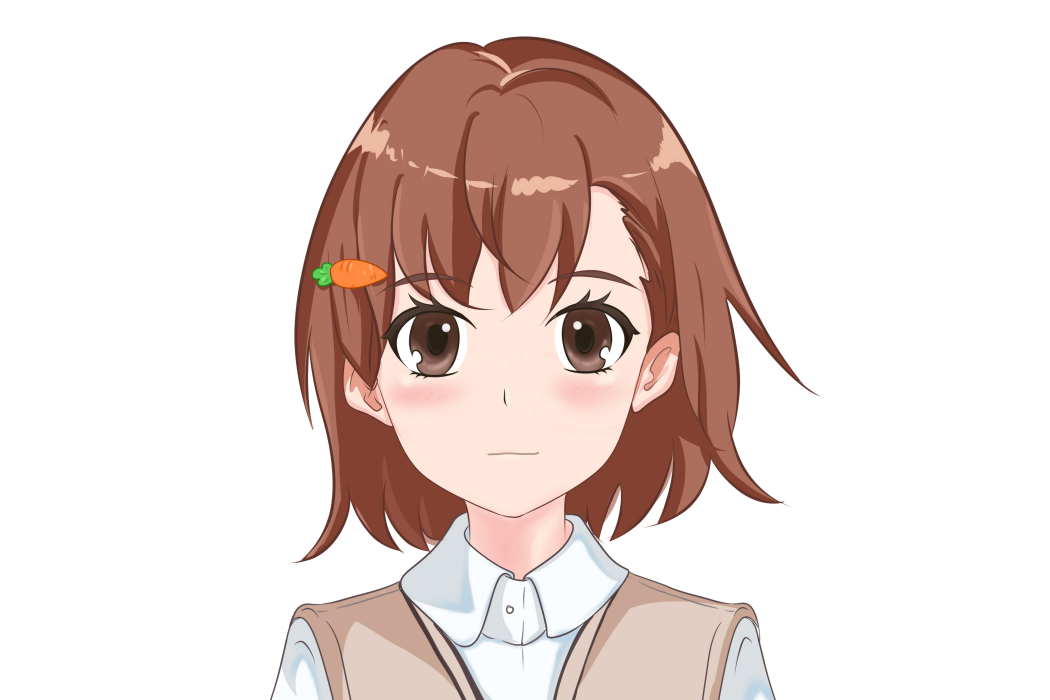 御坂13554號 御坂13554號