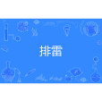 排雷 排雷
